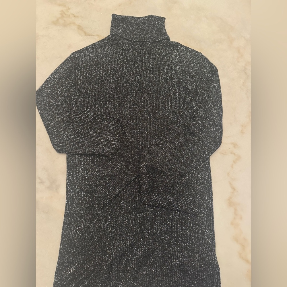 Express Metallic Turtleneck Sweater